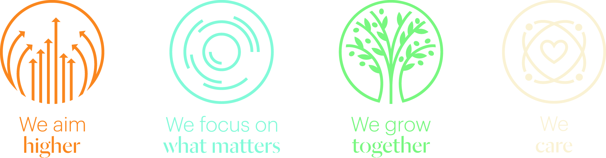 Four icons with text: 'We aim higher' (arrows), 'We focus on what matters' (swirling circles), 'We grow together' (tree), 'We care' (heart).